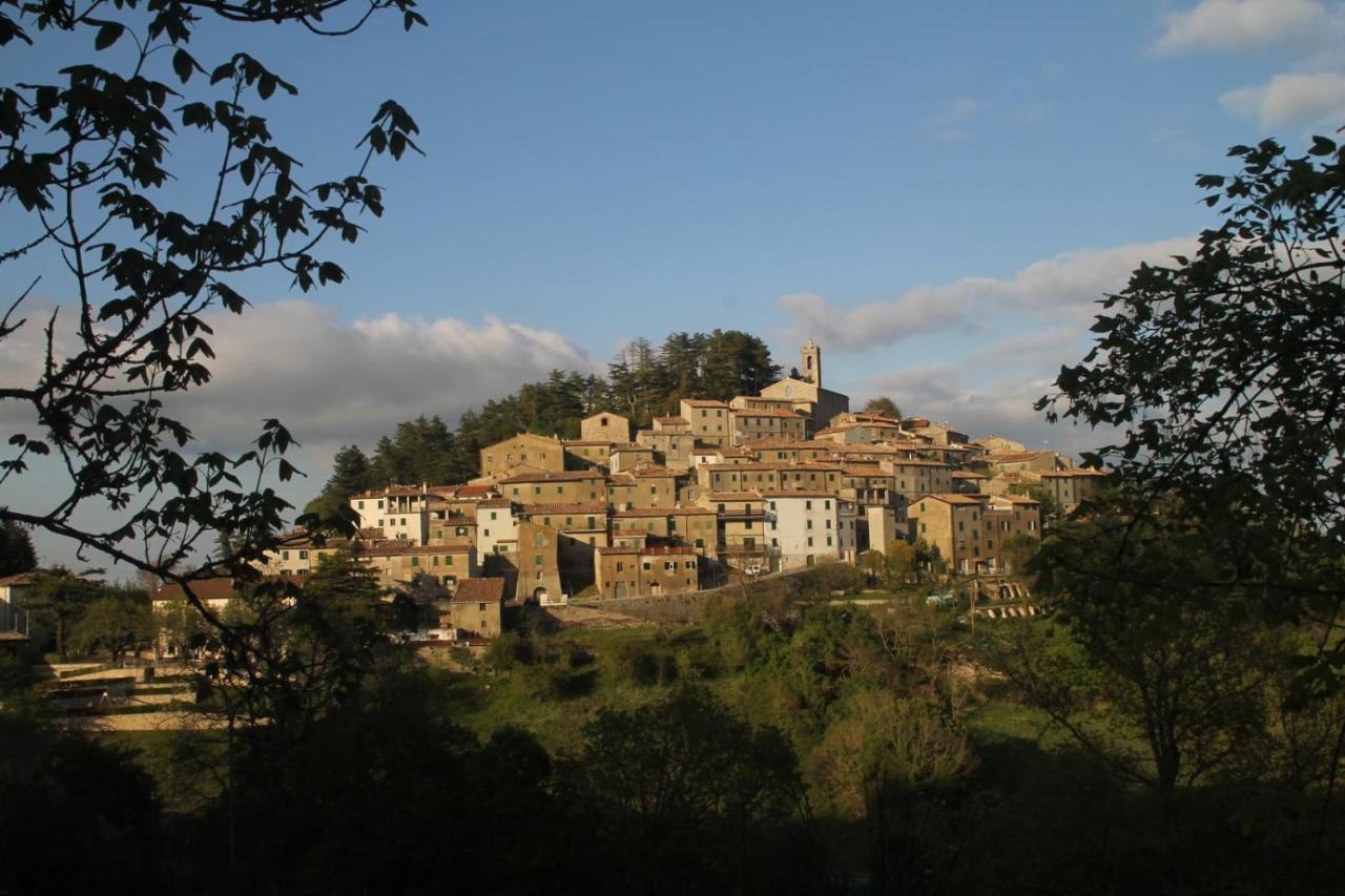 Poggio Luna Gerfalco